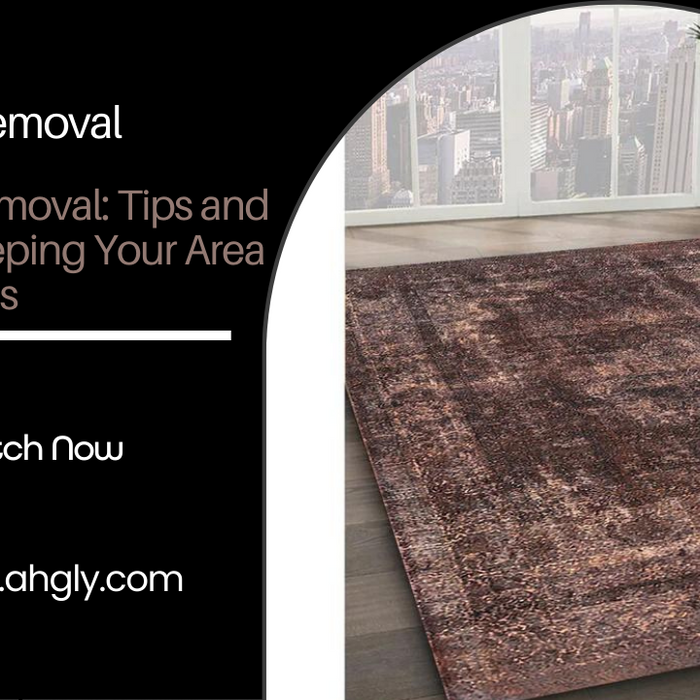 Rug Stain Removal: Tips and Tricks for Keeping Your Area Rugs Spotless