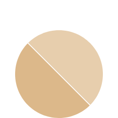Gold Rugs