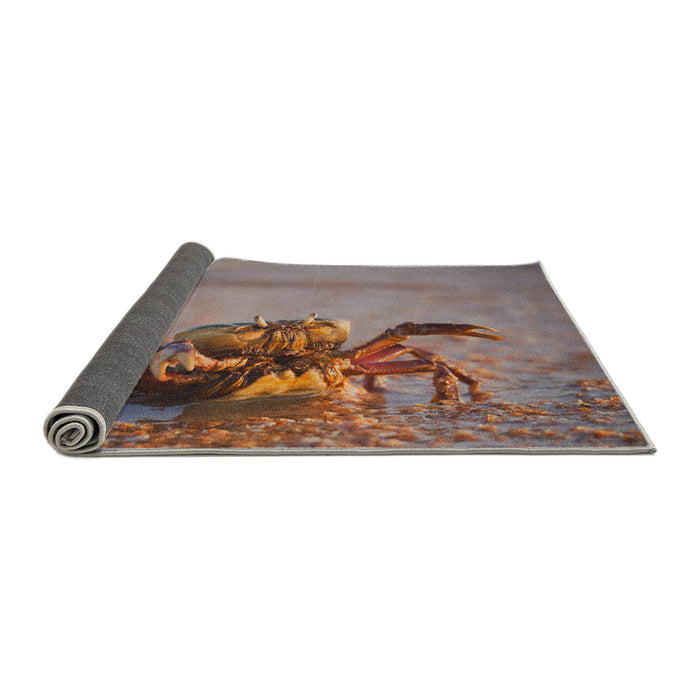 Animals Crab Rug, rugaranimalscrab10