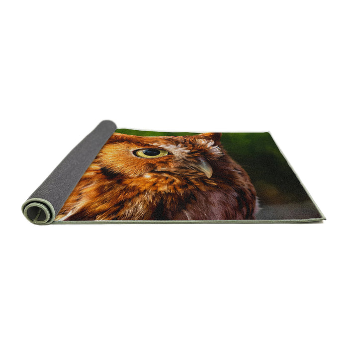 Animals Owl Rug, rugaranimalsowl16