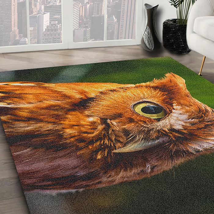 Ahgly Company Indoor Rectangle Animals Owl Area Rugs, 4' x 6'