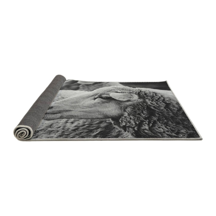 Animals Sheep Rug, rugaranimalssheep1