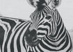 Ahgly Company Indoor Rectangle Animals Zebra Area Rugs, 8' x 12'