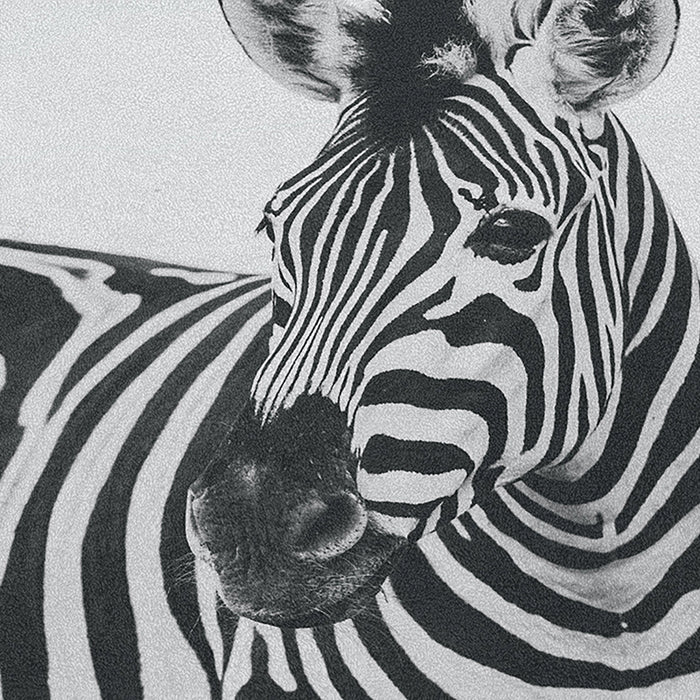 Ahgly Company Indoor Rectangle Animals Zebra Area Rugs, 8' x 12'