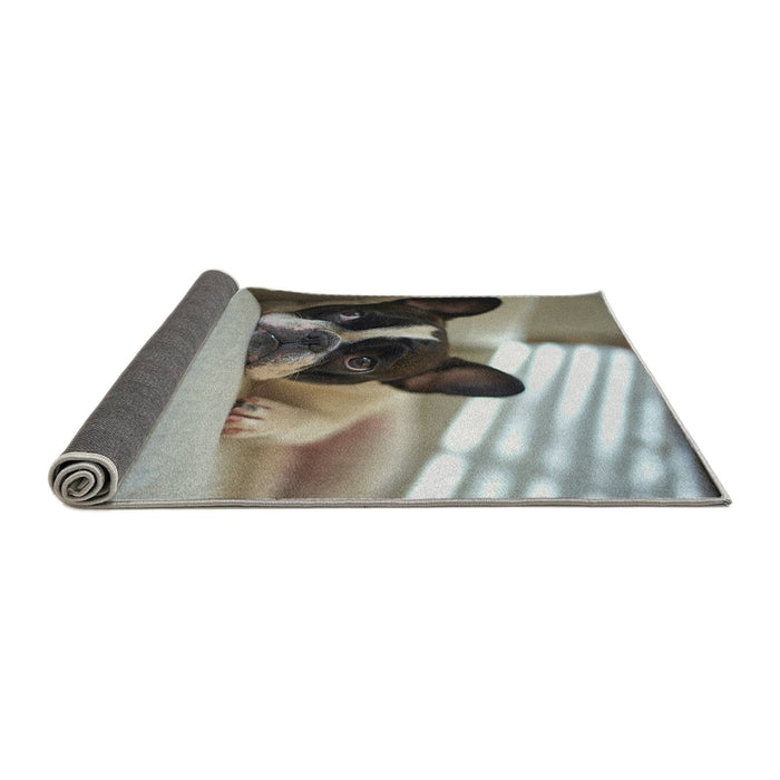 Dogs Bulldog Rug, rugardogsbulldog24