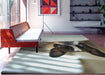 Ahgly Company Indoor Rectangle Dogs Bulldog Area Rugs, 7' x 9'
