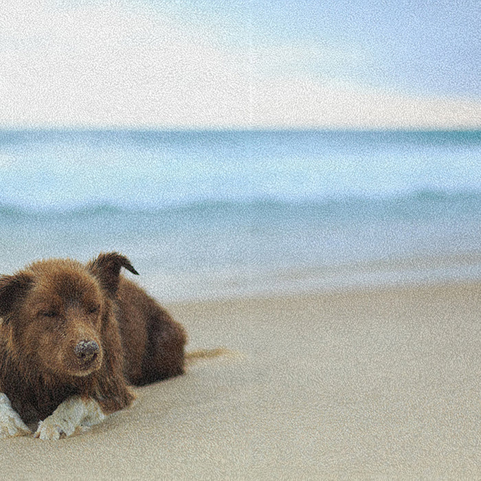 Ahgly Company Indoor Rectangle Dogs Dogs Area Rugs, 8' x 12'