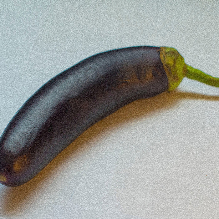 Ahgly Company Indoor Rectangle Foods Eggplant Area Rugs, 8' x 12'