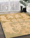 Machine Washable Abstract Yellow Rug in a Family Room, wshabs1004