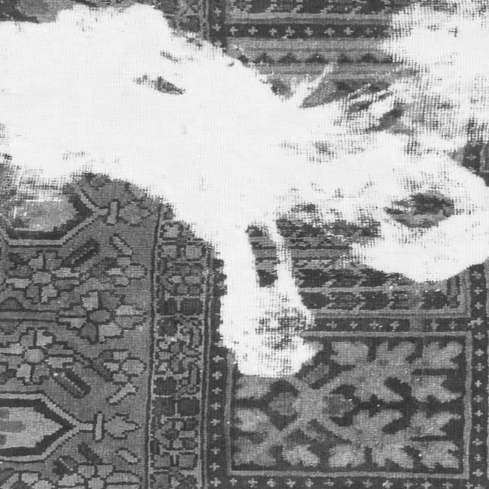 Square Machine Washable Oriental Gray Modern Rug, wshabs1005gry