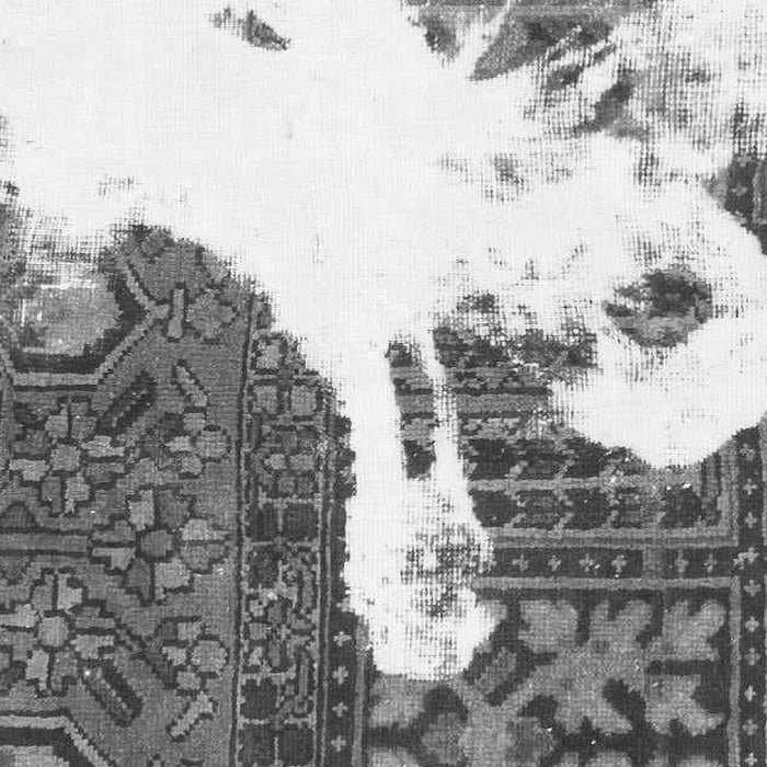 Machine Washable Oriental Gray Modern Rug, wshabs1005gry