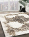 Abstract Brown Oriental Rug in Family Room, abs1006