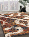 Abstract Brown Oriental Rug in Family Room, abs1008