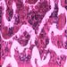 Square Machine Washable Oriental Pink Modern Rug, wshabs1008pnk