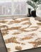 Machine Washable Abstract Bisque Beige Rug in a Family Room, wshabs1009