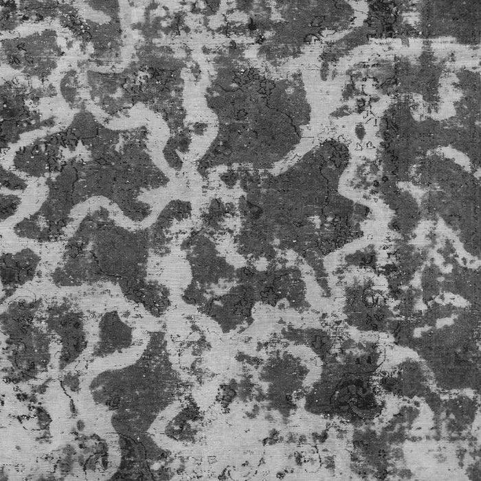 Machine Washable Oriental Gray Modern Rug, wshabs1012gry