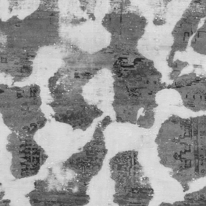 Machine Washable Oriental Gray Modern Rug, wshabs1013gry