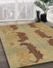 Abstract Light Brown Oriental Rug in Family Room, abs1016