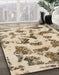 Machine Washable Abstract Dark Gold Brown Rug in a Family Room, wshabs1021