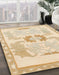 Machine Washable Abstract Khaki Gold Rug in a Family Room, wshabs1025