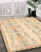 Machine Washable Abstract Khaki Gold Rug in a Family Room, wshabs1034