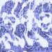 Square Machine Washable Abstract Blue Modern Rug, wshabs1040blu