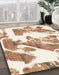 Machine Washable Abstract Bisque Beige Rug in a Family Room, wshabs1047