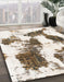 Machine Washable Abstract Dark Almond Brown Rug in a Family Room, wshabs1056