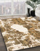 Machine Washable Abstract Light Brown Rug in a Family Room, wshabs1060