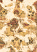 Abstract Brown Modern Rug, abs1061brn