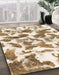 Machine Washable Abstract Wheat Beige Rug in a Family Room, wshabs1066