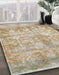 Machine Washable Abstract Orange Brown Rug in a Family Room, wshabs1071