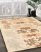 Machine Washable Abstract Khaki Gold Rug in a Family Room, wshabs1076