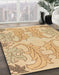 Machine Washable Abstract Bronze Brown Rug in a Family Room, wshabs1083