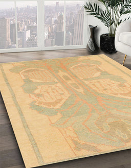 Machine Washable Abstract Orange Rug in a Family Room, wshabs1087