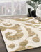 Machine Washable Abstract Champagne Beige Rug in a Family Room, wshabs1093