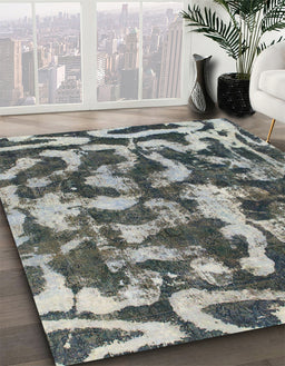 Machine Washable Abstract Dark Gray Rug in a Family Room, wshabs1094