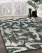 Machine Washable Abstract Dark Gray Rug in a Family Room, wshabs1094