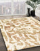 Machine Washable Abstract Moccasin Beige Rug in a Family Room, wshabs1099