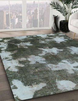 Machine Washable Abstract Light Black Rug in a Family Room, wshabs1106