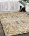 Machine Washable Abstract Brown Rug in a Family Room, wshabs1107