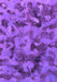 Machine Washable Abstract Purple Modern Area Rugs, wshabs1110pur