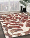 Abstract Brown Red Modern Rug in Family Room, abs1119