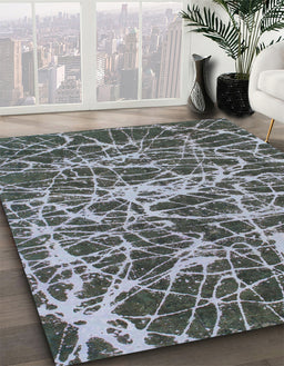 Machine Washable Abstract Dark Gray Rug in a Family Room, wshabs1128