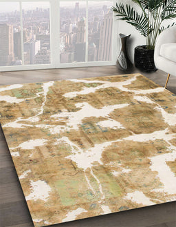 Machine Washable Abstract Cinnamon Brown Rug in a Family Room, wshabs1129