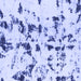 Square Machine Washable Abstract Blue Modern Rug, wshabs1131blu