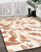 Machine Washable Abstract Blanched Almond Beige Rug in a Family Room, wshabs1136