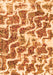 Machine Washable Abstract Orange Modern Area Rugs, wshabs1141org