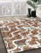 Machine Washable Abstract Gold Brown Rug in a Family Room, wshabs1141