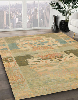 Machine Washable Abstract Metallic Gold Rug in a Family Room, wshabs1146